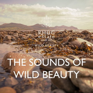 The Sounds of Wild Beauty