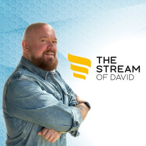 David Strickel | The Stream