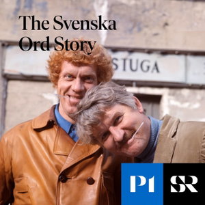 The Svenska Ord Story