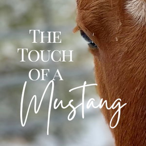 The Touch of a Mustang | Wild Horses and Healing With Nature