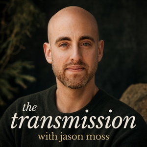 The Transmission