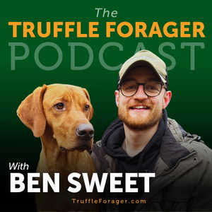 The Truffle Forager Podcast