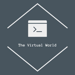 The Virtual World