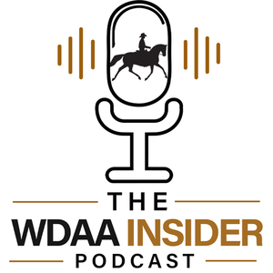 The WDAA Insider Podcast