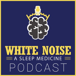 The White Noise Podcast