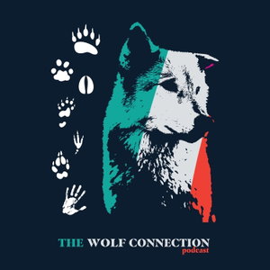 The Wolf Connection