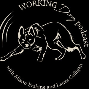 The Working Dog Podcast