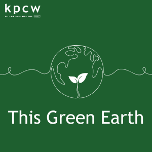 This Green Earth
