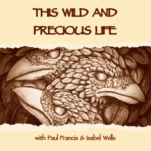 This Wild and Precious Life | Shamanism and Animism