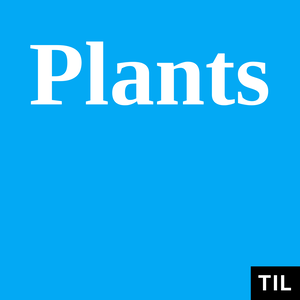 TIL: Plants