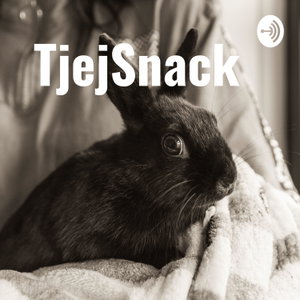TjejSnack 