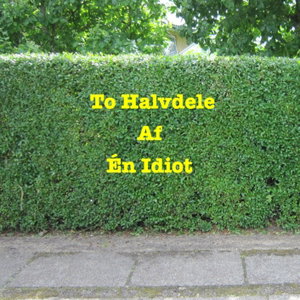 To Halvdele Af Én Idiot