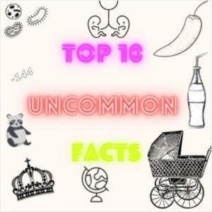 top 10 unknown facts around the world 