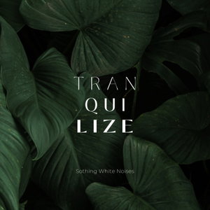 Traquilize - Sothing White Noises