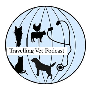 Travelling Vet | DiskuTIERärztinnen | Wild Vets