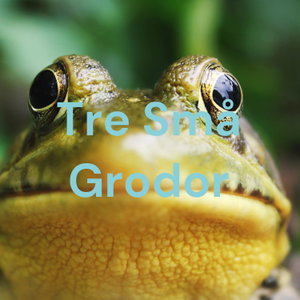 Tre Små Grodor