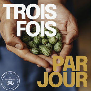 Trois fois par jour, un podcast Les Résistants