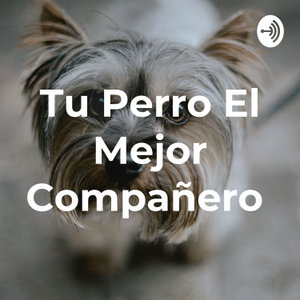 Tu Perro El Mejor Compañero 
