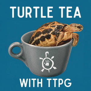 Turtle Tea with TTPG