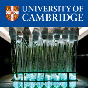 Twenty First Century Crops