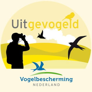 Uitgevogeld