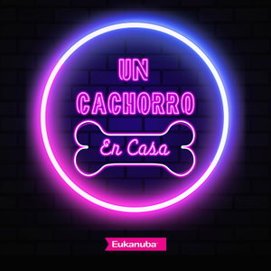 Un cachorro en casa 