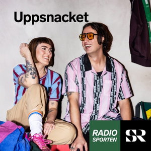 Uppsnacket