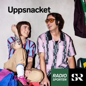 Uppsnacket