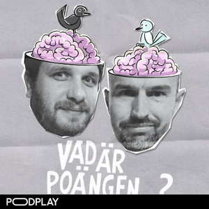 Vad är Poängen..?