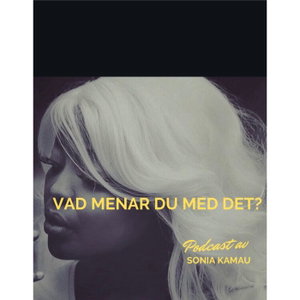 Vad Menar Du Med Det?