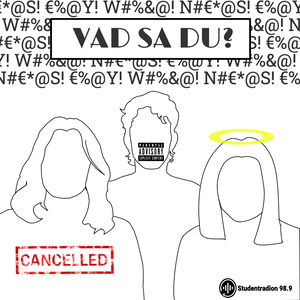 Vad sa du?