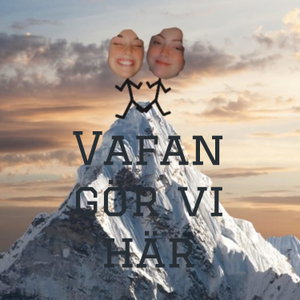 Vafan gör vi här?