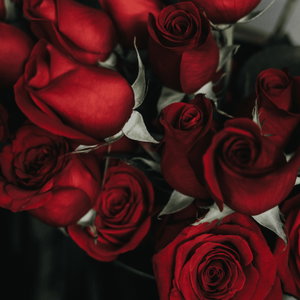 Valentine's day SFI EMC
