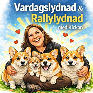 Vardagslydnad och Rallylydnad - med Kickan