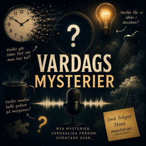 Vardagsmysterier