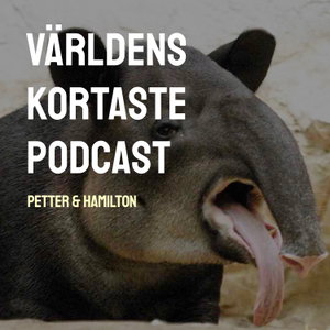 Världens kortaste podcast