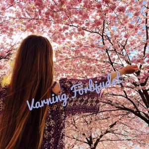 Varning Förbjudet
