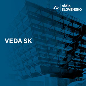 Veda SK