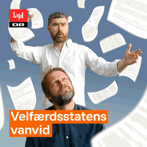 Velfærdsstatens vanvid