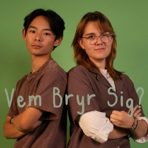 Vem Bryr Sig?
