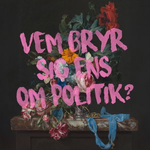 Vem bryr sig ens om politik?