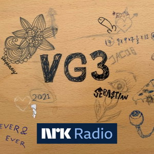 VG3