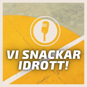 Vi snackar idrott