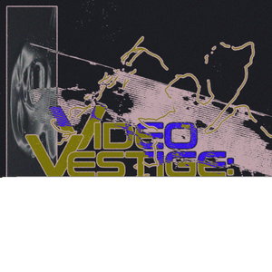 Video Vestige