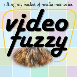 VideoFuzzy