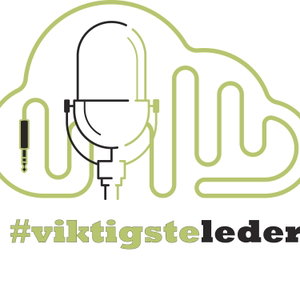 Viktigste Leder