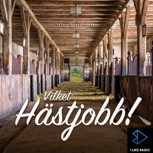 Vilket Hästjobb!