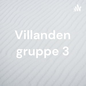 Villanden gruppe 3