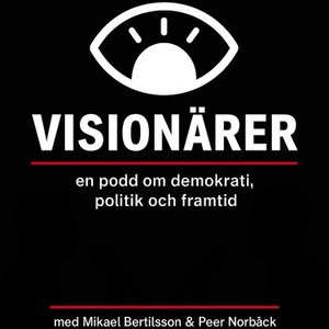 Visionärer