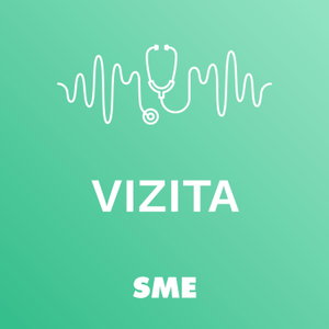 Vizita